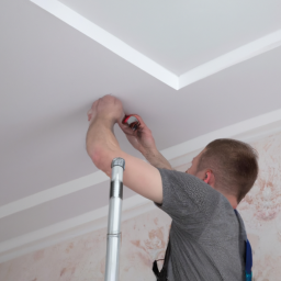 Créez une ambiance moderne avec un faux plafond fixe Bandraboua